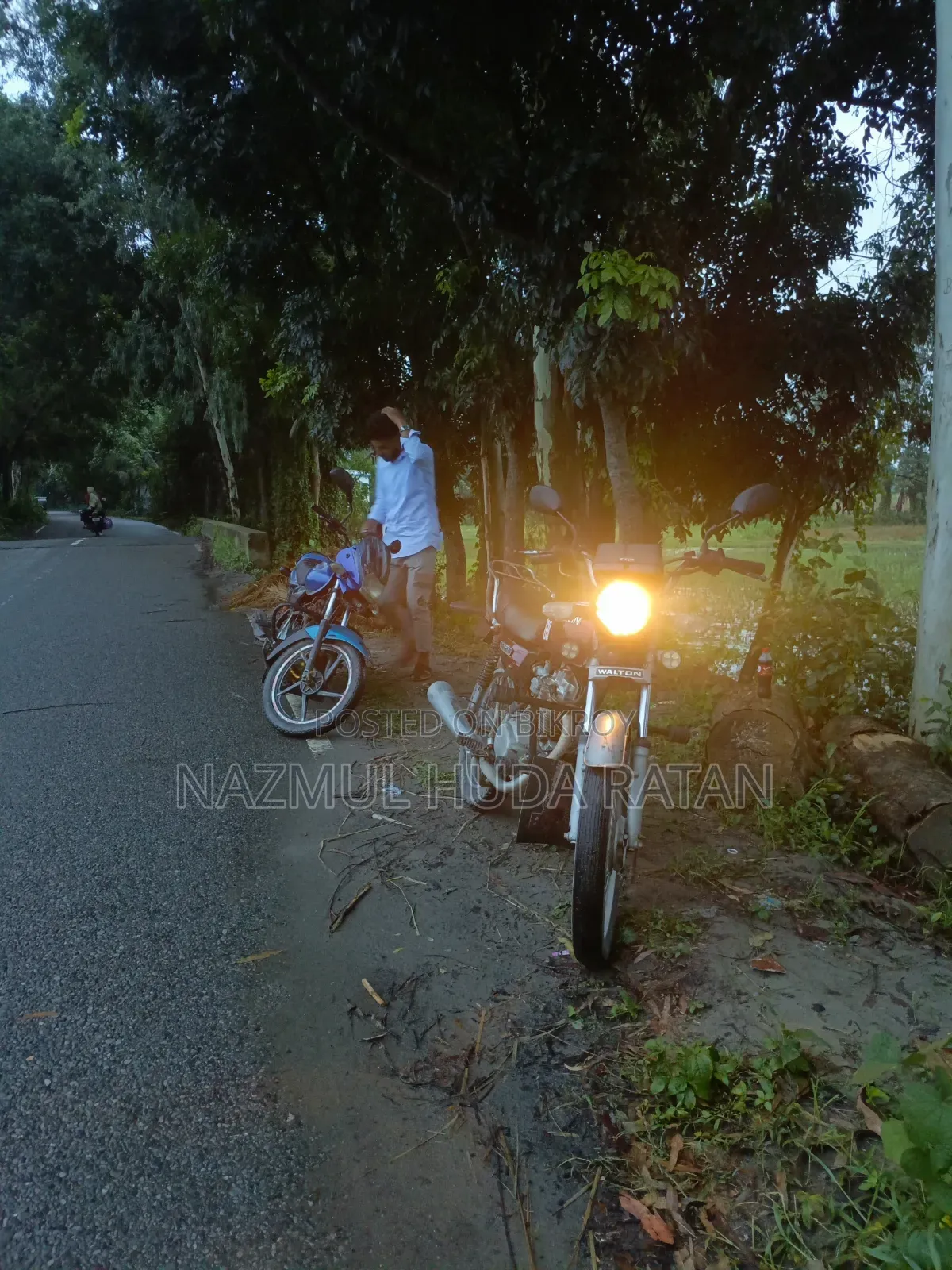 Walton Cruize 2007 Red