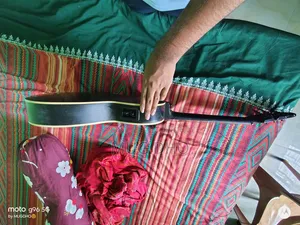 Musical Instrument