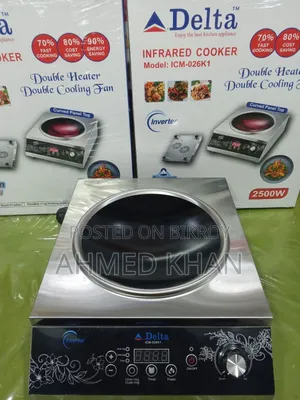 Delta Electric Cooker 2500 Watt