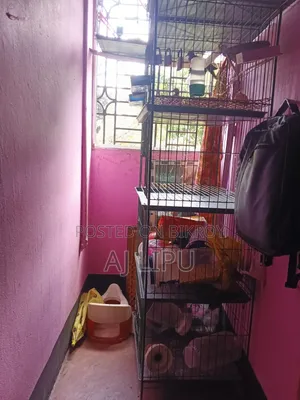 চার খোপের নতুন একটি পাখির খাঁচা