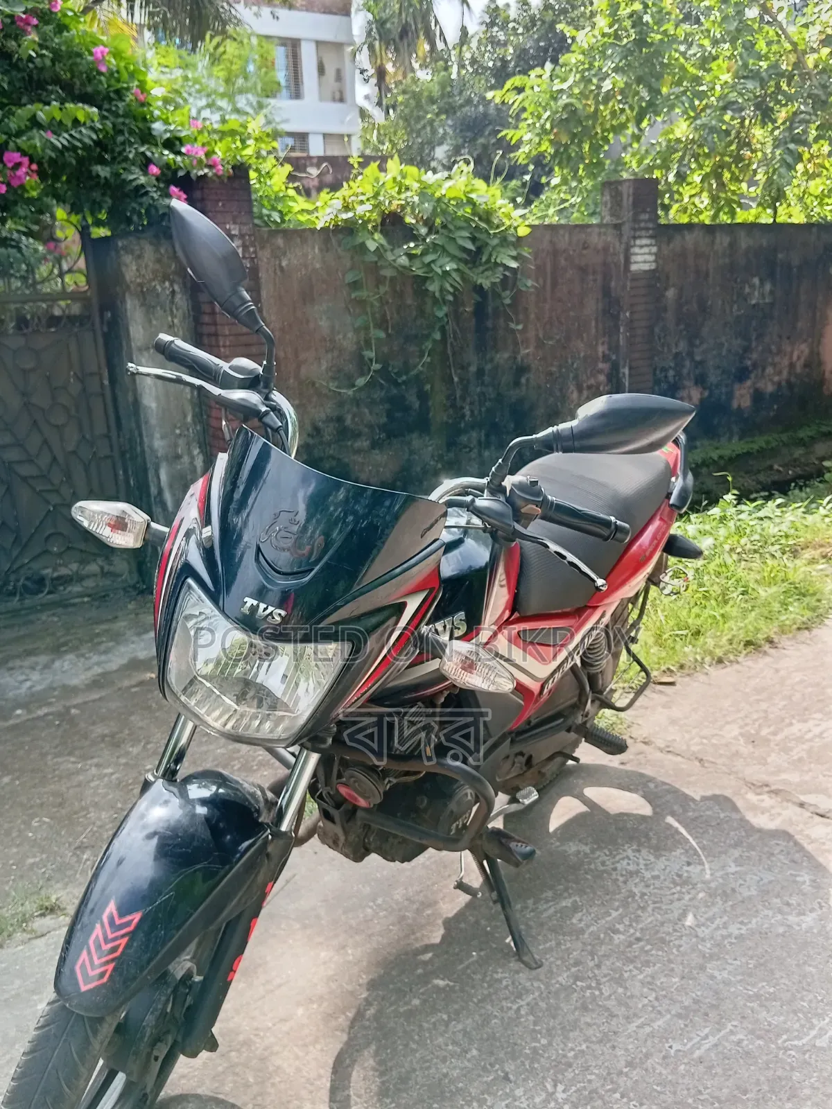 টিভিএস মেট্রো ২০১৯ অরেঞ্জ