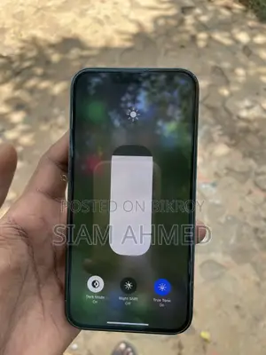 Apple iPhone 13 128 GB Green