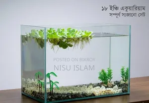 মাছ অ্যাকোয়ারিয়াম