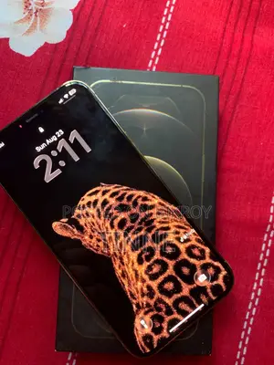 Apple iPhone 12 Pro Max 256 GB Gold