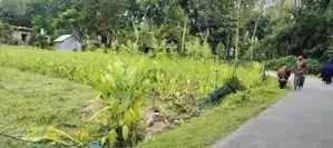 1.25 Acres Land for Sale in Bogura - Factory or Commercial Project