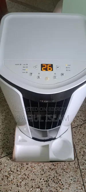 Gree 1Ton Portable AC