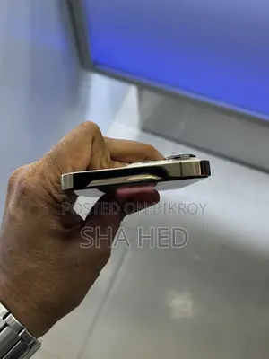 অ্যাপল আইফোন ১৩ প্রো ২৫৬ জিবি গ্রে