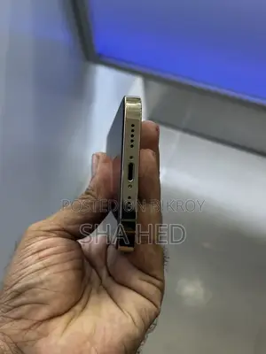 অ্যাপল আইফোন ১৩ প্রো ২৫৬ জিবি গ্রে