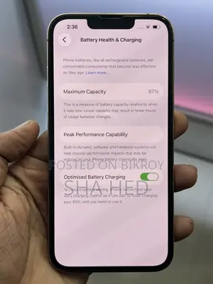 অ্যাপল আইফোন ১৩ প্রো ২৫৬ জিবি গ্রে