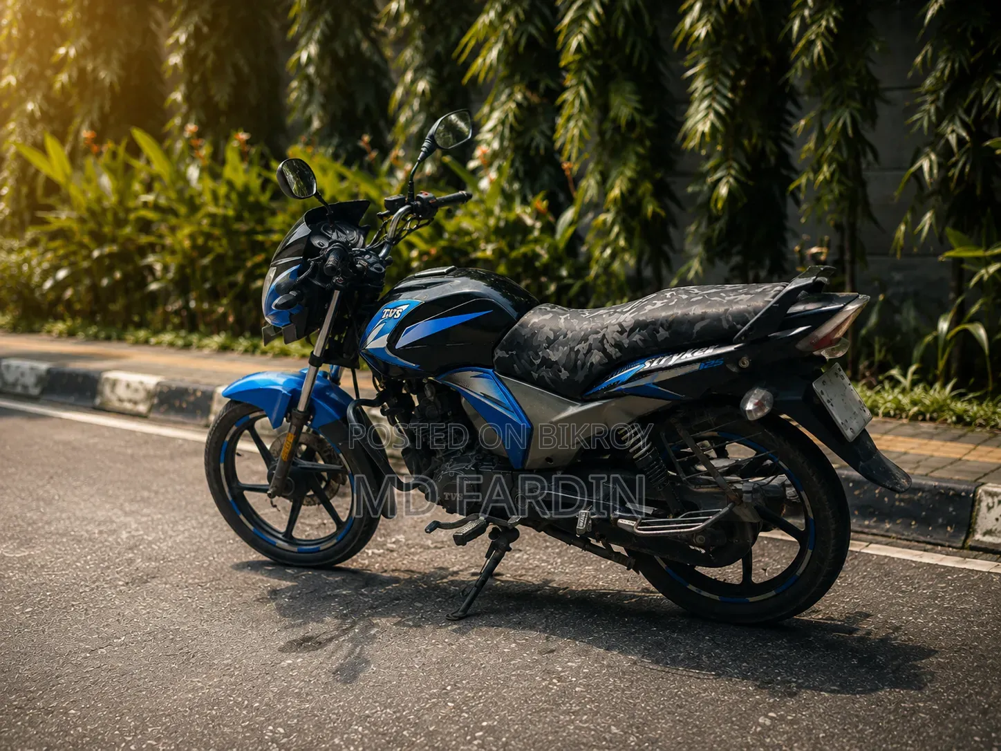 TVS Stryker 125 2017 Blue