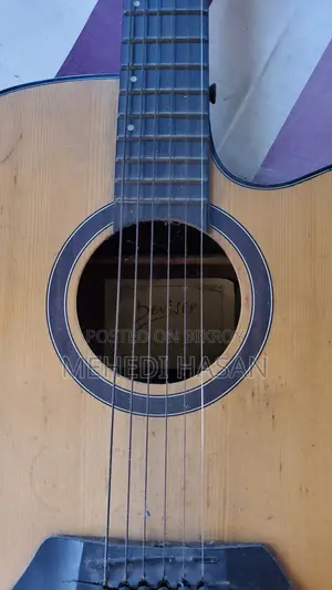 Deviser LS-570 Acoustic Guitar