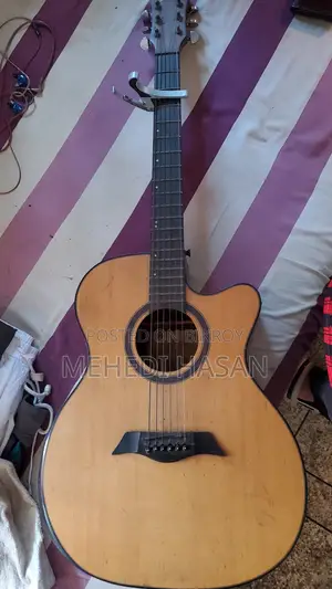 Deviser LS-570 Acoustic Guitar