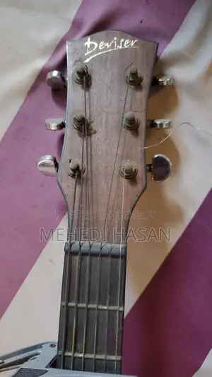 Deviser LS-570 Acoustic Guitar