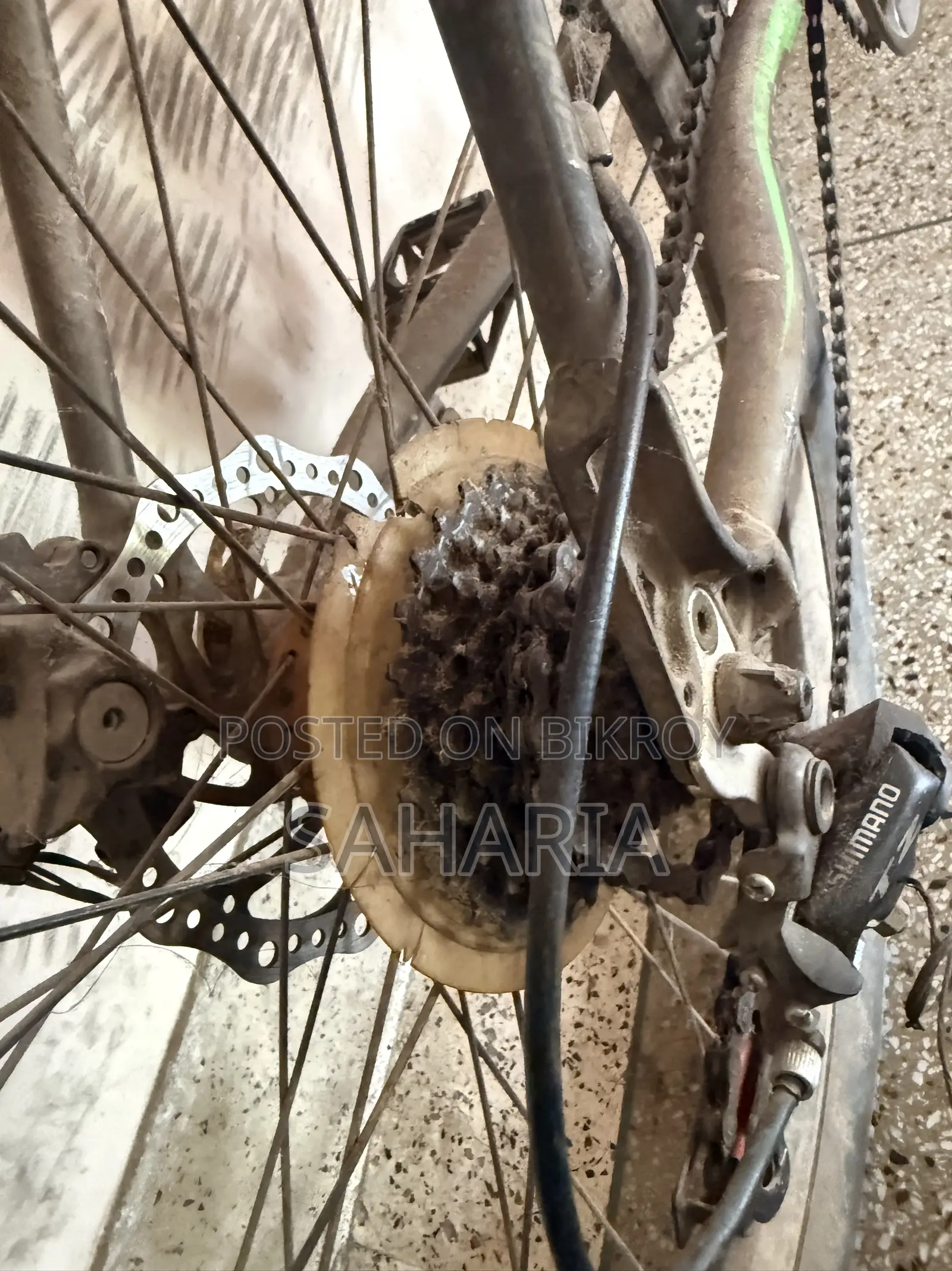 Phoenix Target Bicycle