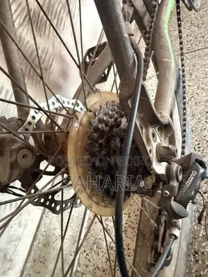 Phoenix Target Bicycle