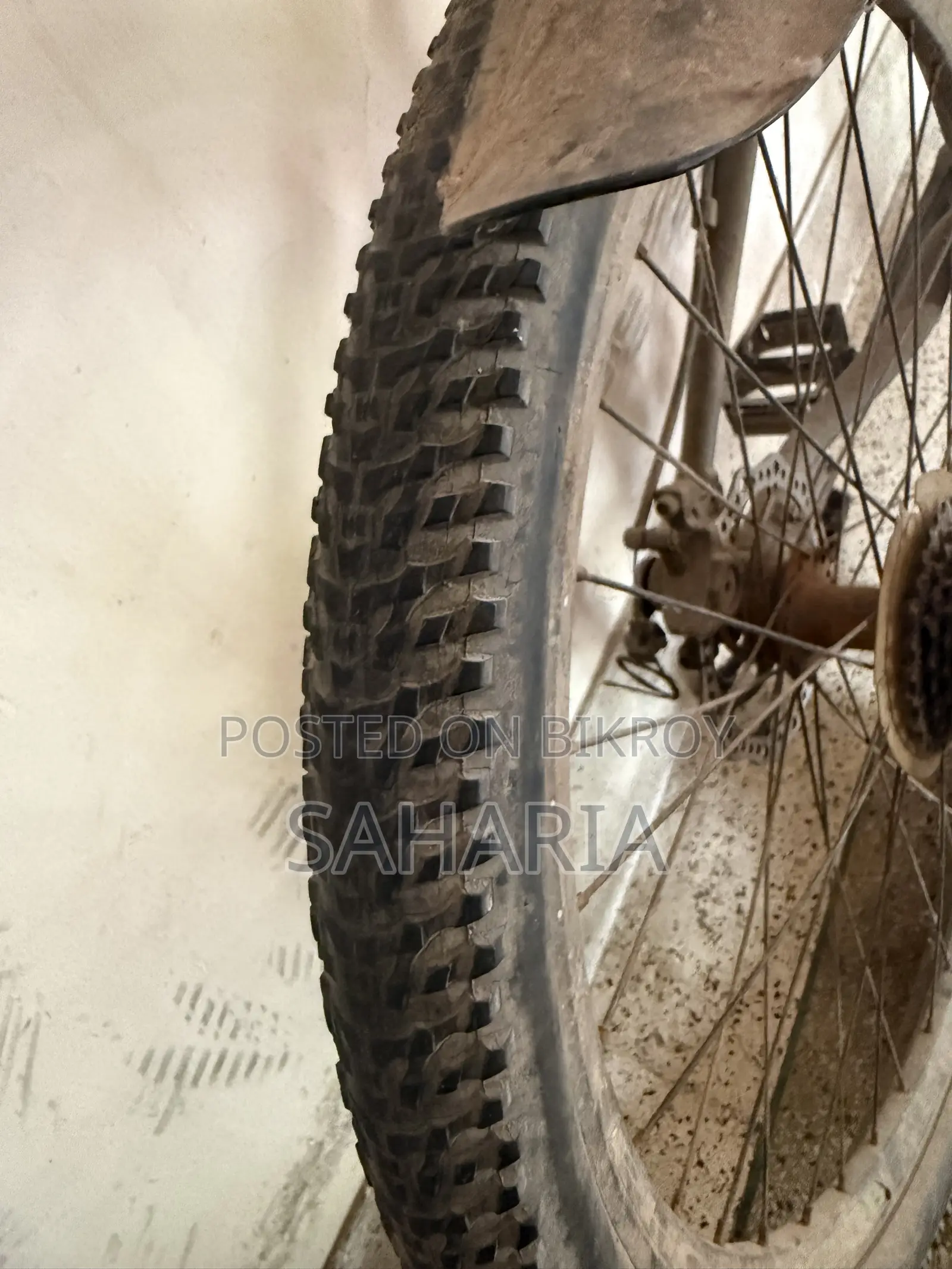 Phoenix Target Bicycle