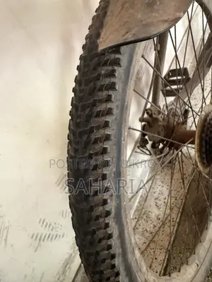 Phoenix Target Bicycle