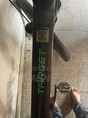 Phoenix Target Bicycle