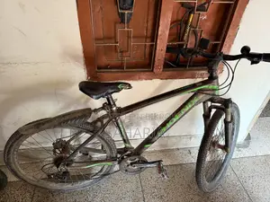 Phoenix Target Bicycle