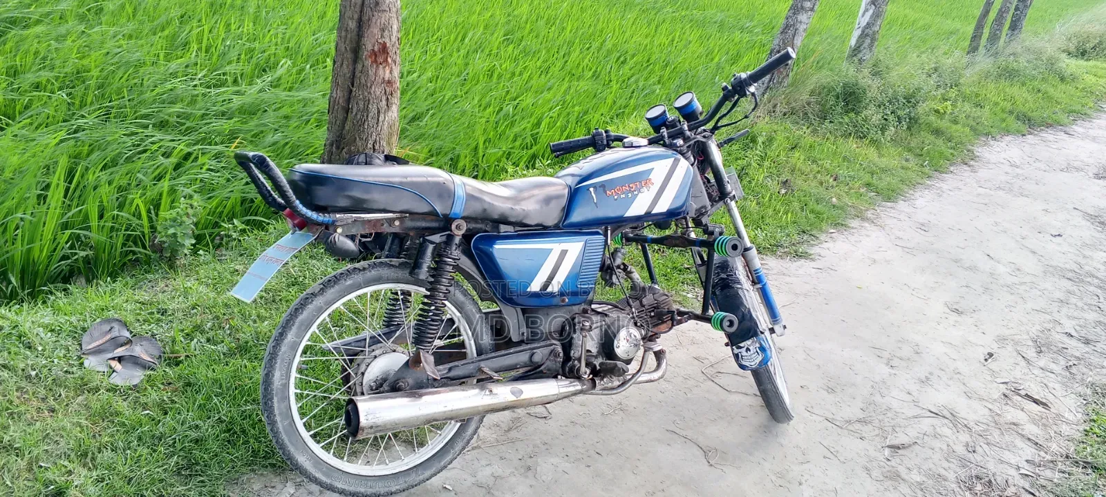 দাওয়ান স্প্রাউট ১০০ ২০১০ ব্লু