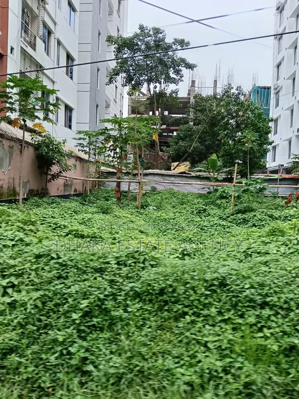 উত্তরা সেক্টর-১১, দক্ষিণমুখী ৩ কাটা প্লট বিক্রি