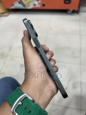 অ্যাপল আইফোন ১৩ প্রো ম্যাক্স ১২৮ জিবি গ্রিন