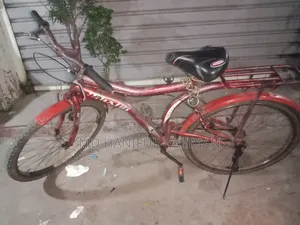 Bicycle 24"