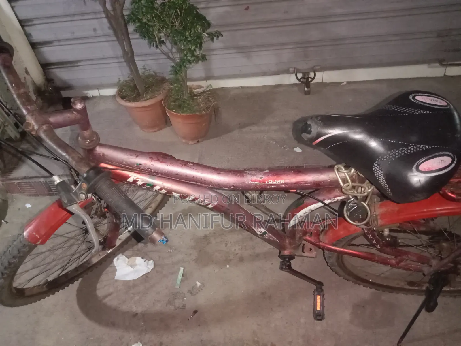 Bicycle 24"