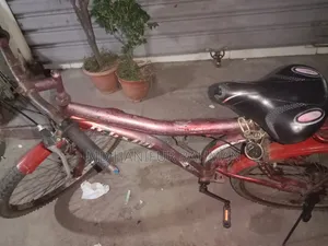 Bicycle 24"