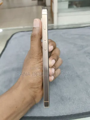 অ্যাপল আইফোন ১৬ প্রো ম্যাক্স ২৫৬ জিবি রোজ গোল্ড