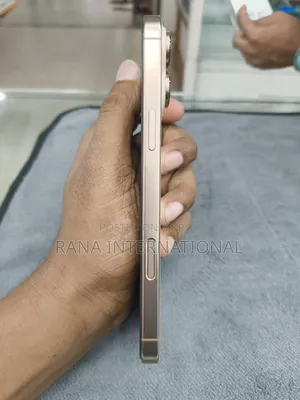 অ্যাপল আইফোন ১৬ প্রো ম্যাক্স ২৫৬ জিবি রোজ গোল্ড