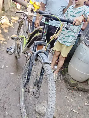 Non-Gear Bicycle