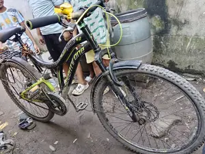 Non-Gear Bicycle