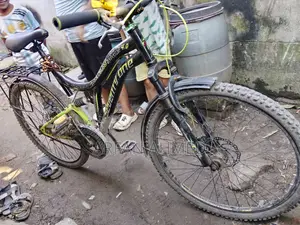 Non-Gear Bicycle