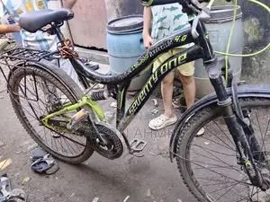 Non-Gear Bicycle