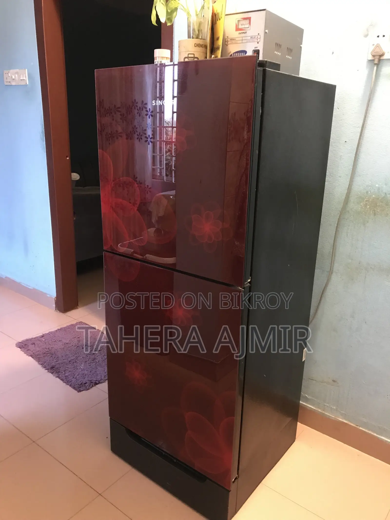 Fridge Singer
