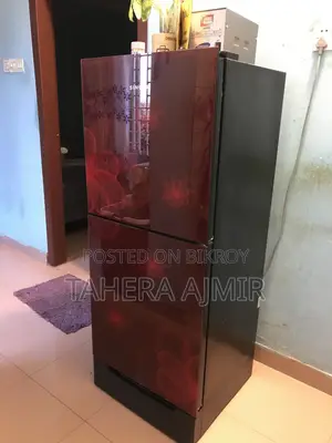 Fridge Singer