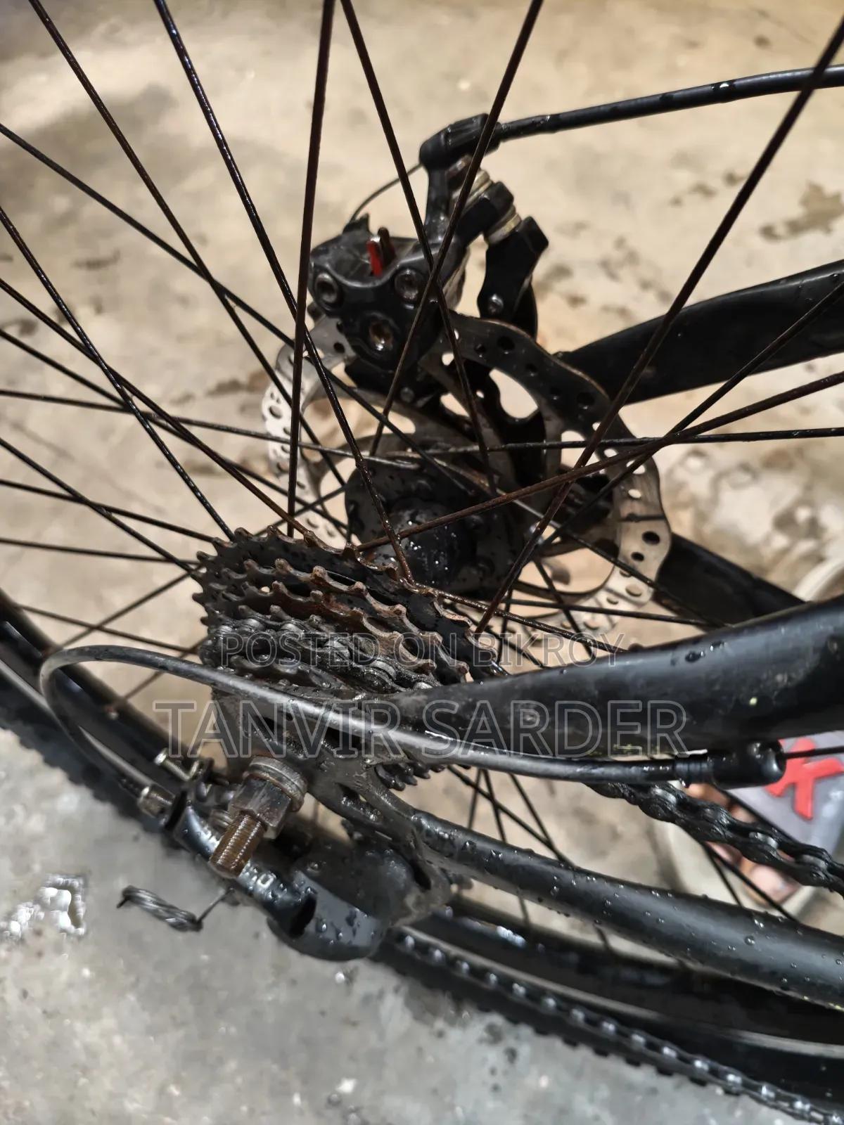Bicycle Cycle