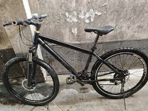 Bicycle Cycle