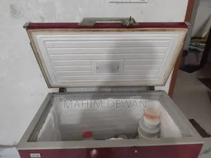 ইকো ফ্রিজ