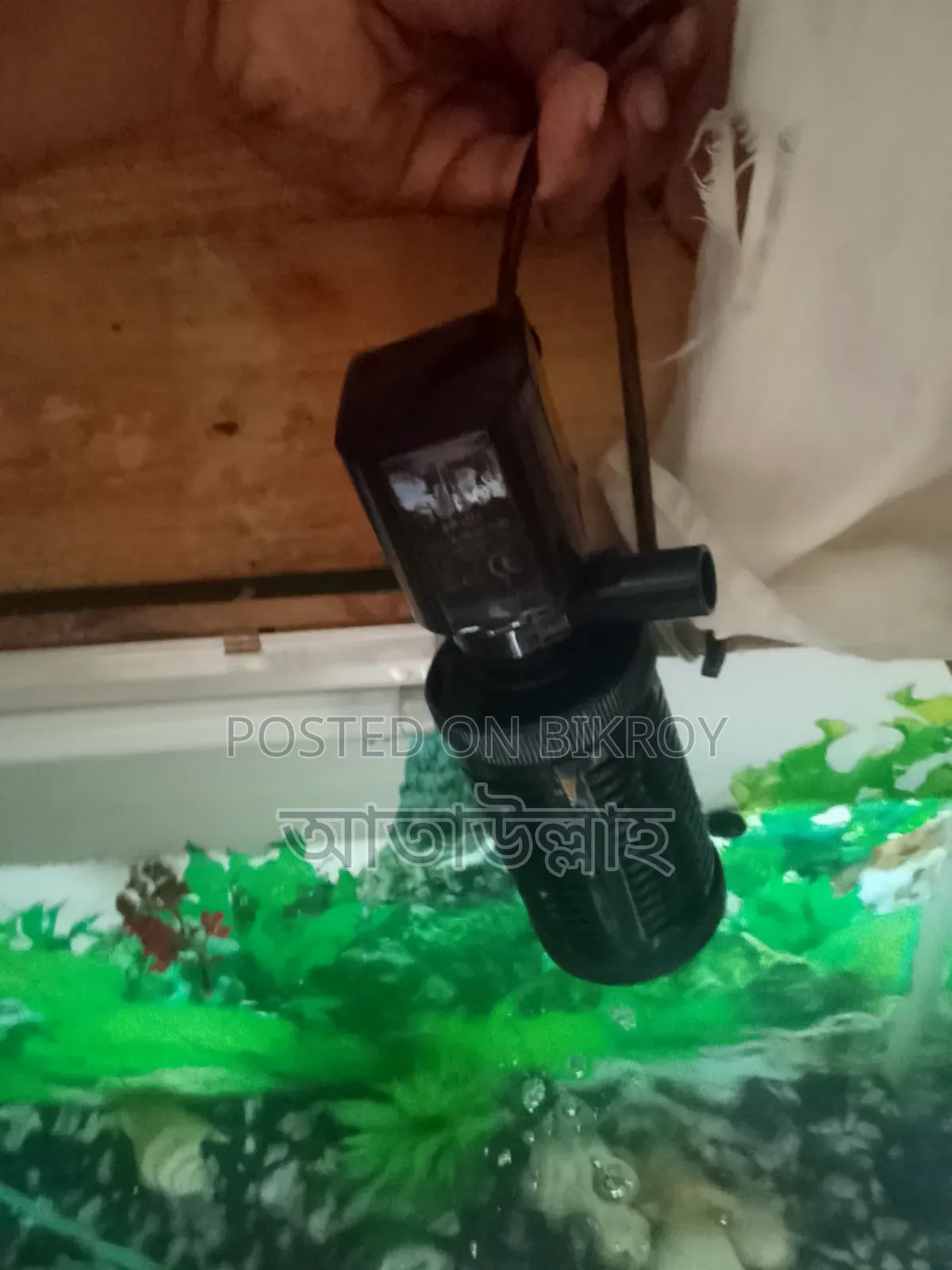 একুরিয়াম বড় সাইজ