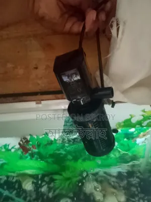 একুরিয়াম বড় সাইজ