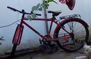 Bicycle for Sale