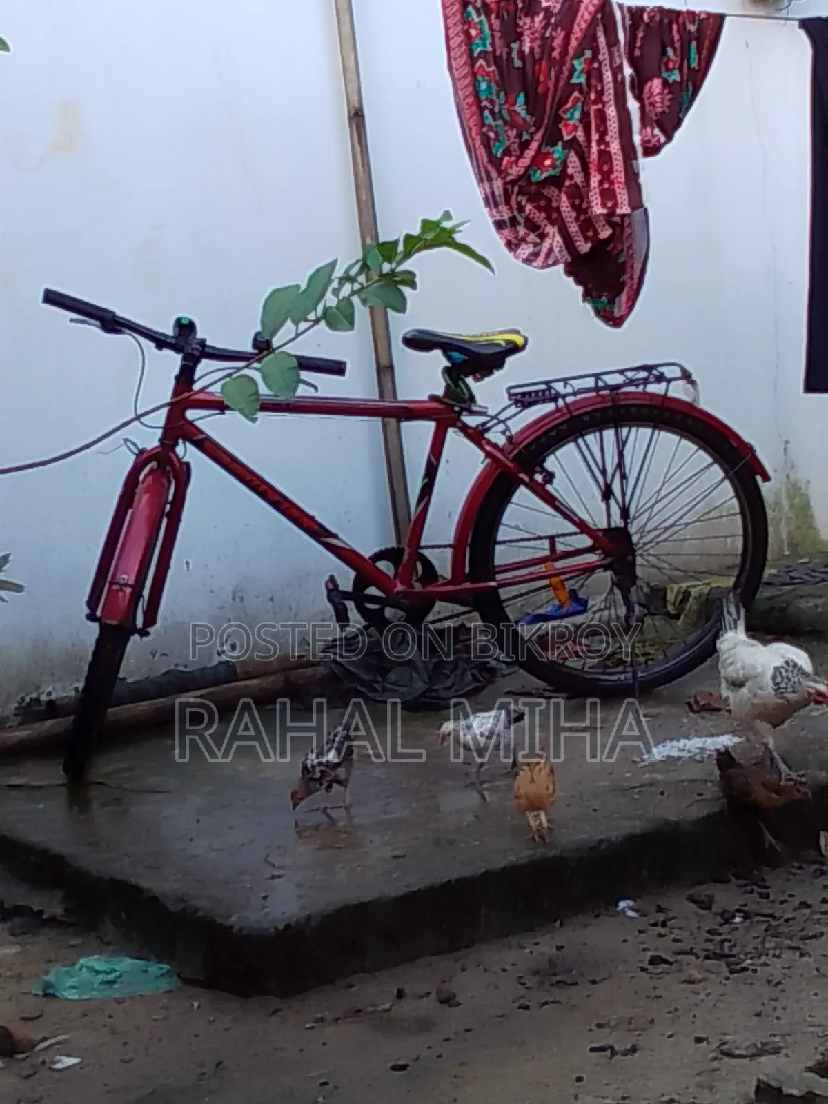 Bicycle for Sale