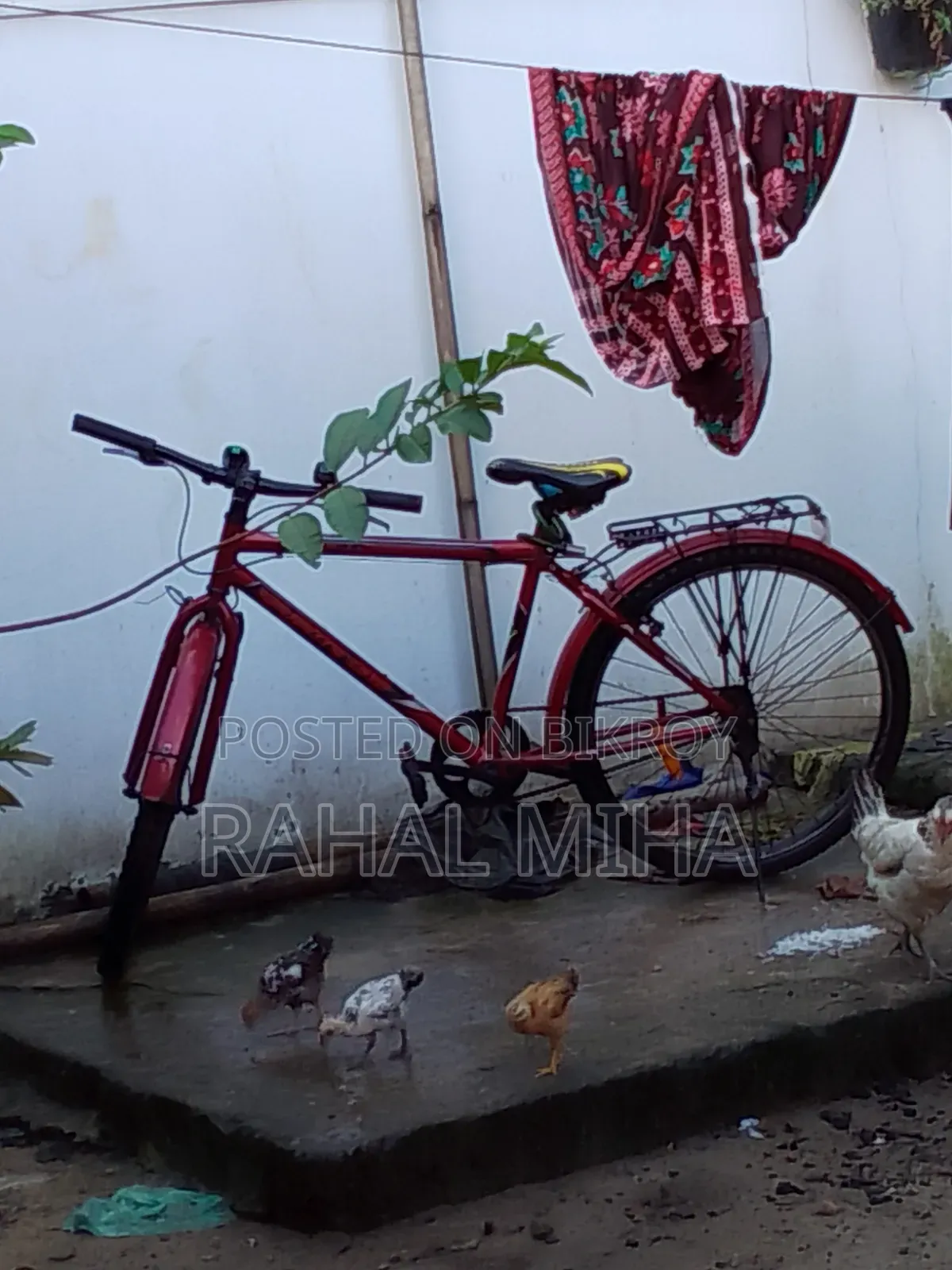 Bicycle for Sale