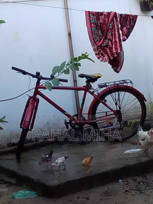 Bicycle for Sale