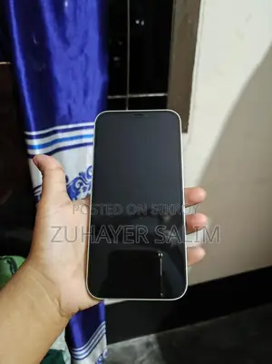 অ্যাপল আইফোন ১২ ১২৮ জিবি গ্রিন
