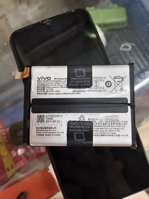 Vivo Iqoo Neo 9 / Neo 9 Pro ব্যাটারি