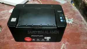 Pantum P2500 Black and White Printer