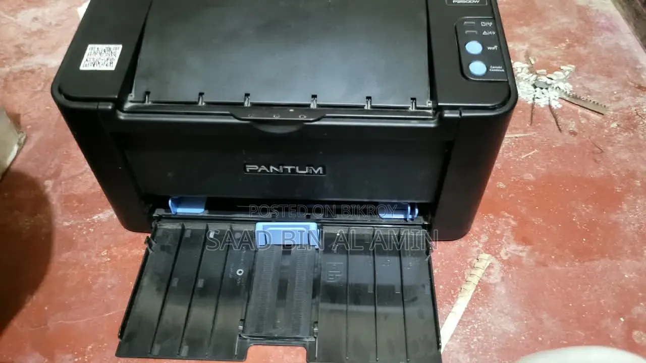 Pantum P2500 Black and White Printer